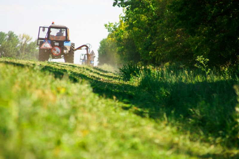 Farm Clearing in Houston, TX