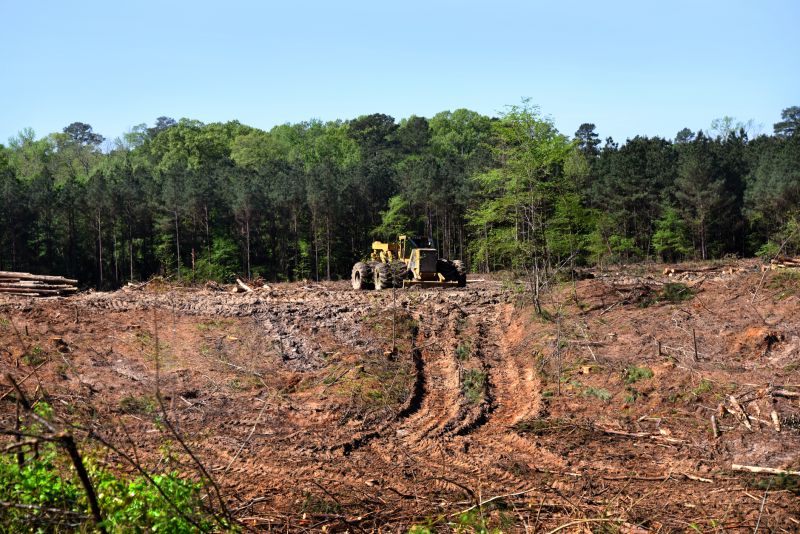 Land Preparation Service in Houston, TX