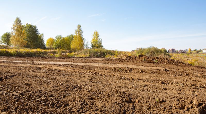 Pool Land Clearing in Salt Lake City, UT