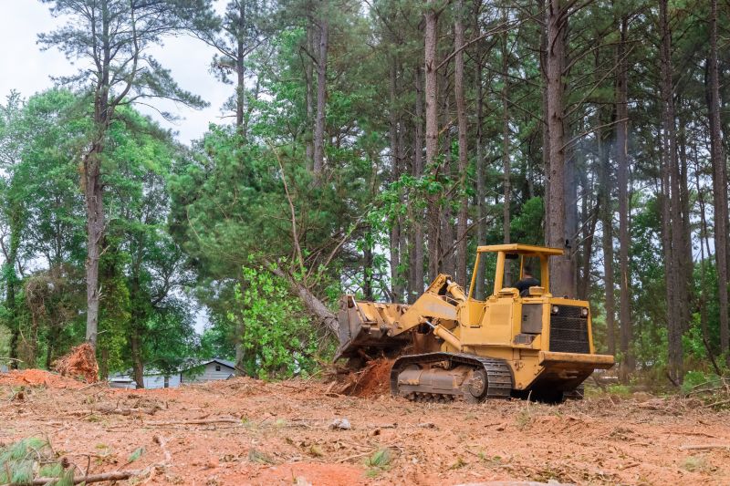 Site Cleaning in Marietta, GA