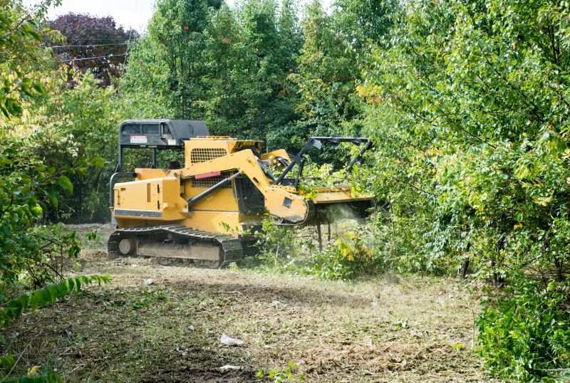 Underbrush Clearing in Houston, TX